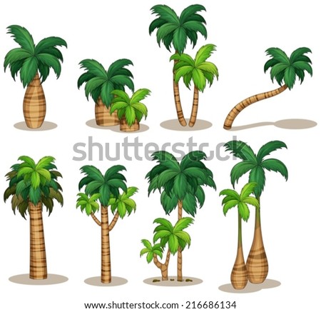 Illustraion of a set of palm tree
