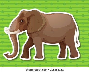Illustraion of a single elephant with background