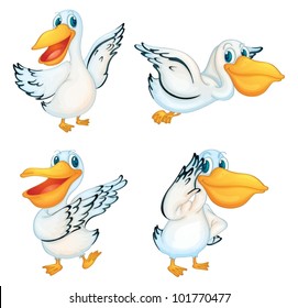 Illustraiton of pelicans on white