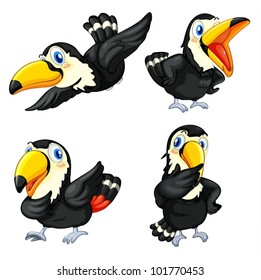 Illustraiton of toucan birds on white