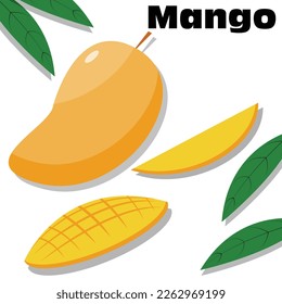 illustrasion of mango set for comercial use