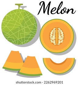 illustrasion of melon set for comercial use