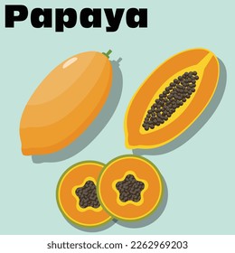 illustrasion of papaya set for comercial use