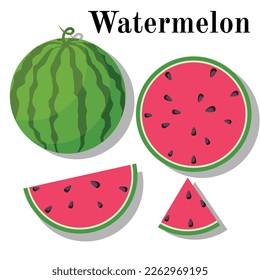 illustrasion of watermelon set for comercial use