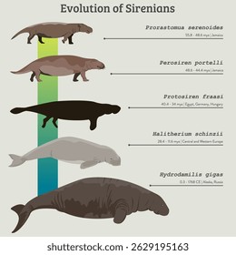 Ilustrar a evolução dos Sirenianos (ilustração vetorial de cartaz)