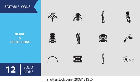 Illustrate the nervous system using this clear nerve and spine icons solid icon set designed for medical textbooks orthopedic applications and health presentations