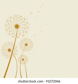 Illustrated abstract dandelion on a colored background. artwork