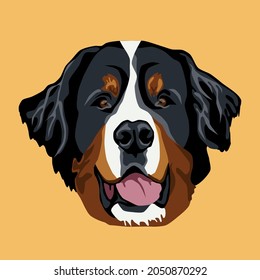 illustrated abstract portrait of Bernese Mountain Dog breed