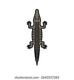 Illustrated alligator lies flat still life minimal design