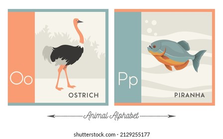 Illustrated alphabet with animals for kids. Letter O for ostrich and letter P for piranha. Vector collection of wildlife.
