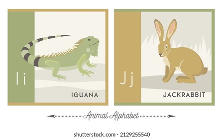 Illustrated alphabet with animals for kids. Letter I for iguana and letter J for jackrabbit. Vector collection of wildlife.