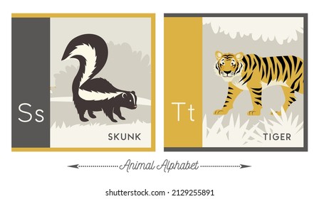 Illustrated alphabet with animals for kids. Letter S for skunk and letter T for tiger. Vector collection of wildlife.