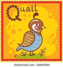 Illustrated alphabet letter Q and quail. 