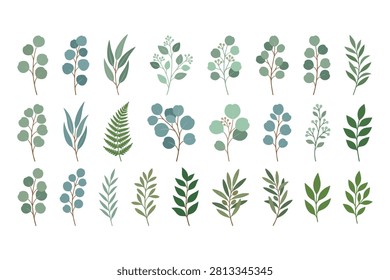 Illustrated assortment of leaves and eucalyptus branches in different shades on transparent background