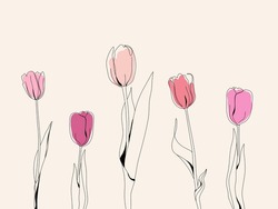 An Illustrated Background With Tulips Drawn In Line Art Style. Place For Text.