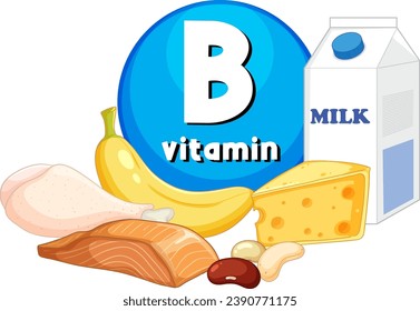 Illustrated banner showcasing a variety of Vitamin B-rich foods
