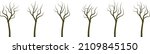 Illustrated Bare Trees in Winter with Twisted Branches