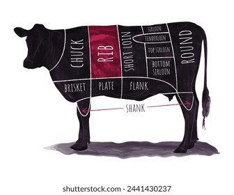 Illustrated beef cuts chart with labeled sections on a cow silhouette for culinary use.