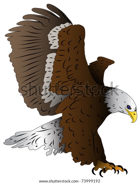 Illustrated Bird Eagle Landing Stock Vector (Royalty Free) 73999192 ...