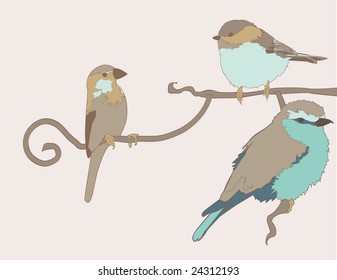 Illustrated Birds