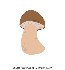 Illustrated brown mushroom with a thick stem and a rounded cap, showcasing a side view. This botanical design captures the essence of forest fungi in a simple, natural style.