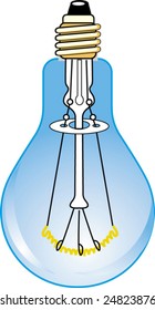 Illustrated bulb