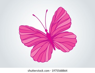 illustrated butterfly pink colour in isolated background