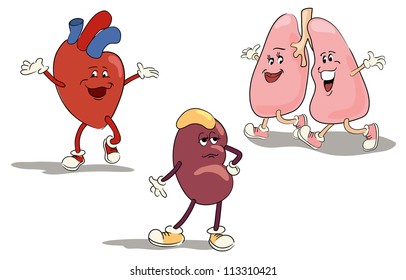 illustrated character set of human internal organs 1