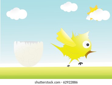 Illustrated chicken