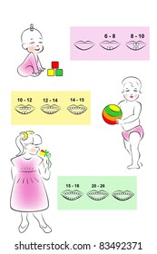 Illustrated children's teething scheme deciduous teeth.