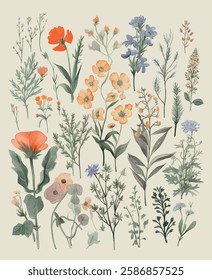 Illustrated collection of diverse botanical species, featuring a range of flowers and foliage in a detailed and artistic manner.