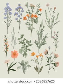 Illustrated collection of diverse botanical species, featuring a range of flowers and foliage in a detailed and artistic manner.