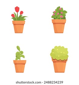 Illustrated colorful potted plants including flowers and greenery