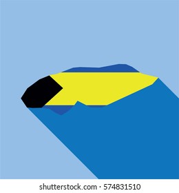 Illustrated Country Shape with the Flag inside of Bahamas