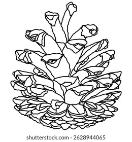 Elemento gráfico ilustrado decorativo delineado pinho cone semente linha ilustração. Contorno de pinho para página de desenho.