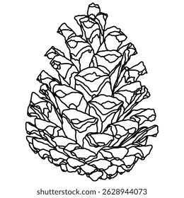 Elemento gráfico ilustrado decorativo delineado pinho cone semente linha ilustração. Contorno de pinho para página de desenho.