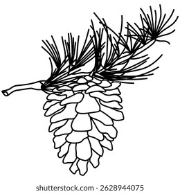 Elemento gráfico ilustrado decorativo delineado pinho cone semente linha ilustração. Contorno de pinho para página de desenho.