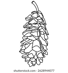 Elemento gráfico ilustrado decorativo delineado pinho cone semente linha ilustração. Contorno de pinho para página de desenho.