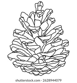 Elemento gráfico ilustrado decorativo delineado pinho cone semente linha ilustração. Contorno de pinho para página de desenho.