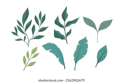 Illustrated design of different kinds of hand-drawn leaves