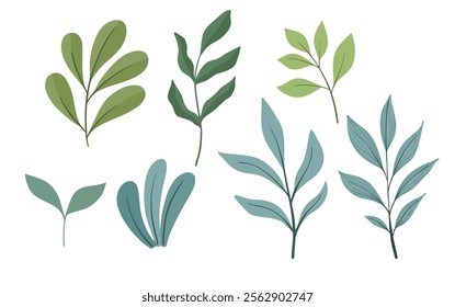 Illustrated design of different kinds of hand-drawn leaves