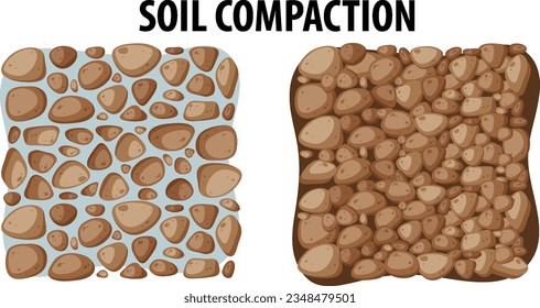 Illustrated diagram comparing soil compaction density for science education