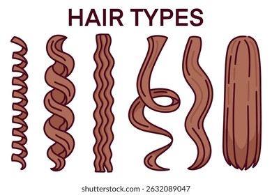 Illustrated diagram of hair types in brown tones, showing progression from coily, curly, wavy to straight strands. Useful in hair care diversity materials and educational content