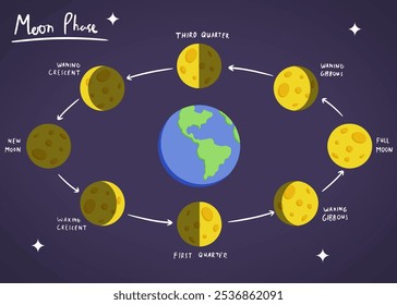 Illustriertes Diagramm der Mondphasen um die Erde, das jede Stufe vom Neumond bis zum Vollmond zeigt, einschließlich wachsender und abnehmender Halbmonde und Gibbenphasen. Ideal für Lehrinhalte zur Astronomie