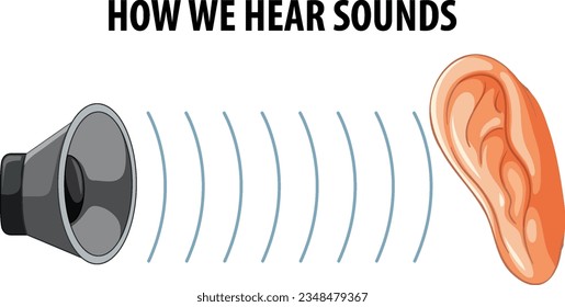 Illustrated education on the human hearing system and sound propagation