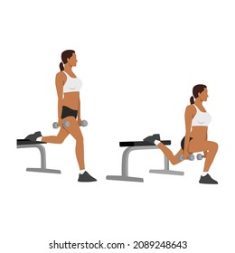 Illustrated exercise guide by healthy woman doing split squats Workout in 2 steps