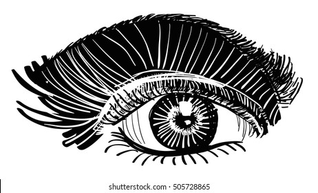 Illustrated Eye Black White Stock Vector (Royalty Free) 505728865 ...