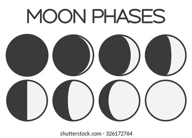 Illustrated Flat Lunar Phases Stock Vector (Royalty Free) 326172764 ...