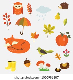 Illustrated flat vector Set