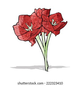 flores ilustradas